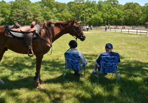 The 10 Best Horseback Riding Spots in Suffolk County, NY